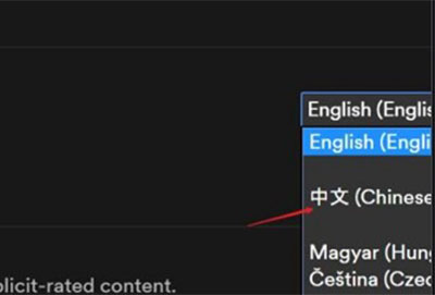 spotify怎么设置中文详细教程