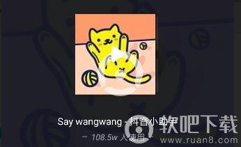 抖音saywangwang什么歌 谁唱的